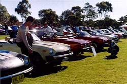 Spiders came out of the woodwork!