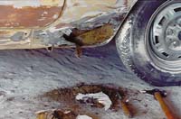 Standard issue Fiat rust